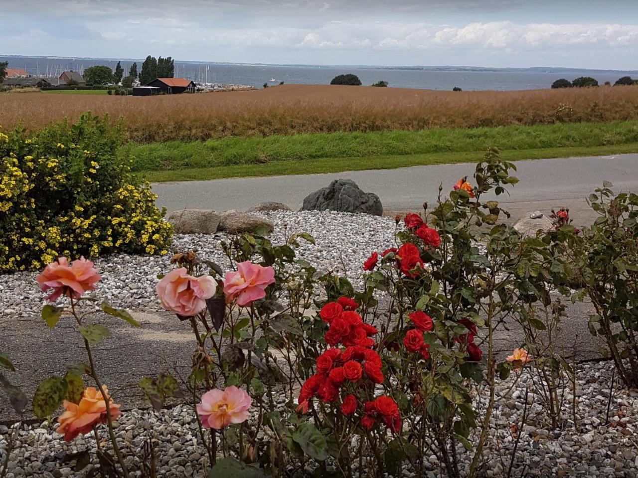 Molevitten Apartments Søby Exteriér fotografie